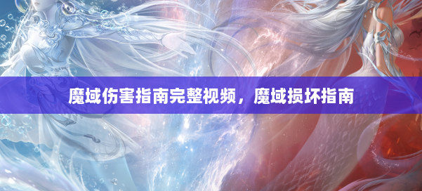 魔域伤害指南完整视频，魔域损坏指南